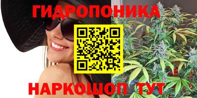 стаф Апшеронск