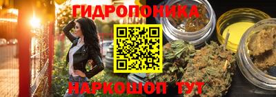 стаф Апшеронск